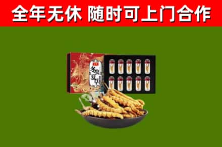 江都回收冬虫夏草价格